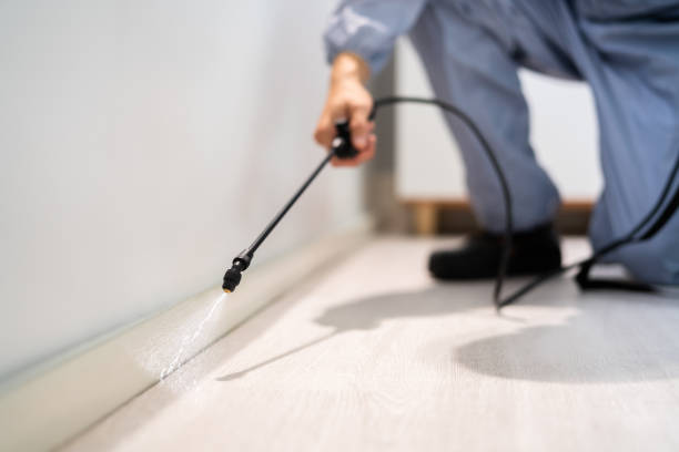 Licensed Pest Control service in Meyersdale, PA - Show Me Pest Control